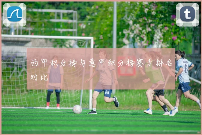 西甲积分榜与意甲积分榜赛季排名对比