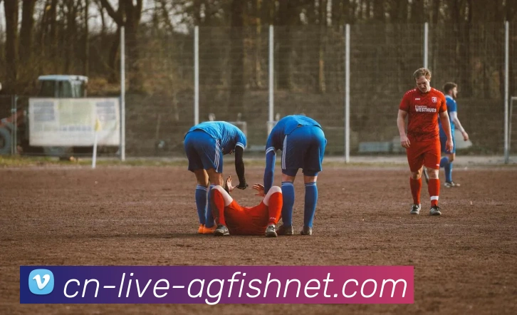 AG捕鱼王官网服务体系